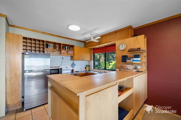 Zdjęcie 7: Mintee 4 by Discover Stradbroke