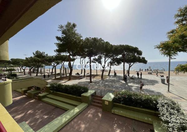 A la foto es mostra l'objecte Capanema 1A situat a la ciutat de Platja d'Aro.