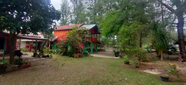 写真にはLhonga市にあるDian Rana Bungalow Lampuukが写っています。
