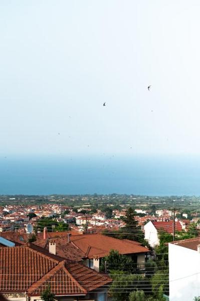 A la foto es mostra l'objecte Olympian Panorama situat a la ciutat de Litóchoron.
