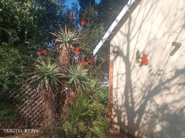 På billedet ses objektet Aloe Vera Eco house beliggende i byen Edenvale.