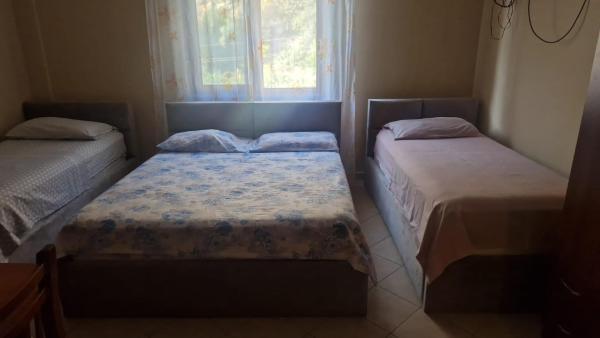 Foto 1: Mani