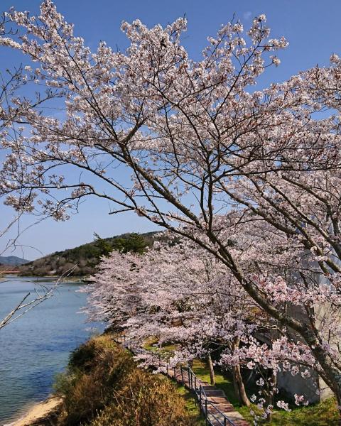 Foto 7: ホテル白竜湖リゾート