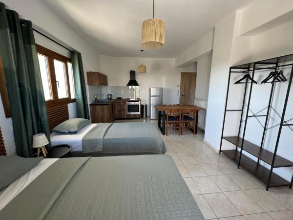A la foto es mostra l'objecte Apartment Spyros Ammoudi situat a la ciutat de Amoudi.