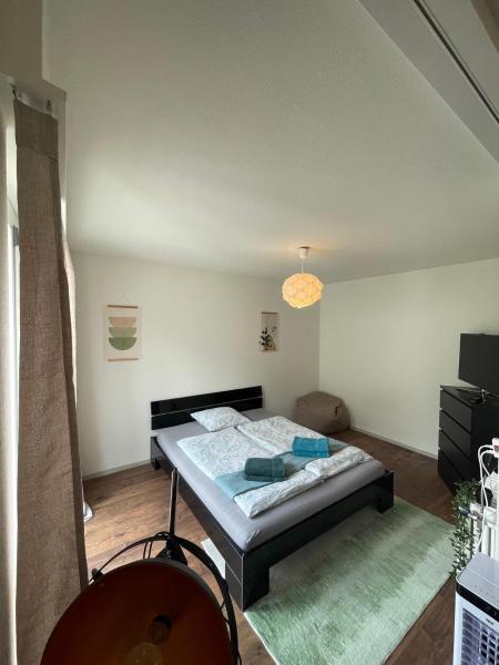 Na zdjęciu widoczny jest obiekt Sonniges Bodensee-Balkonidyll położony w mieście Arbon.