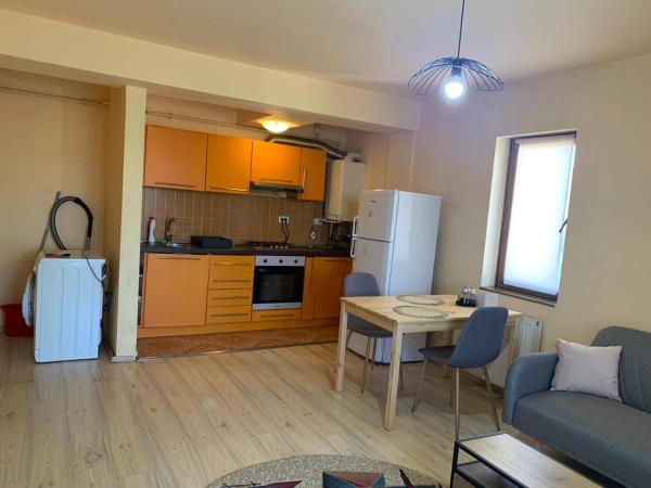 På billedet ses objektet Bed & Garage near City beliggende i byen Timişoara.