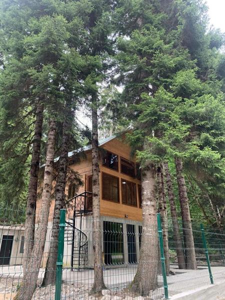 Na zdjęciu widoczny jest obiekt allone in the forest მარტო ტყეში położony w mieście Glola.