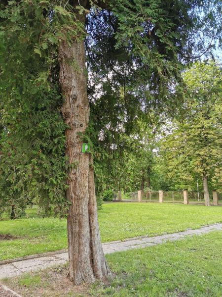 Auf dem Foto ist das Objekt Camper and tent place in Jelgava in der Stadt Vircava zu sehen.