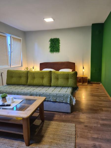 The photo shows the Veljanov Apartment 1 located in the city of Timjanik.