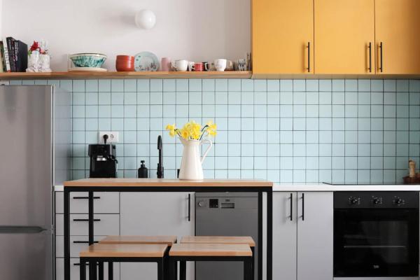 Designers Flat in City Centre, Novi Sad