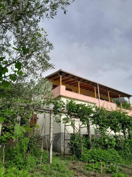 The photo shows the Sara & Mateo Guesthouse located in the city of Goricë.