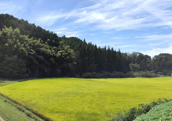 Photo 9 : 古民家やまおか
