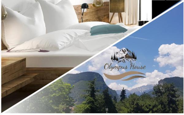 På billedet ses objektet Olympus House με μοναδική θέα beliggende i byen Litóchoron.