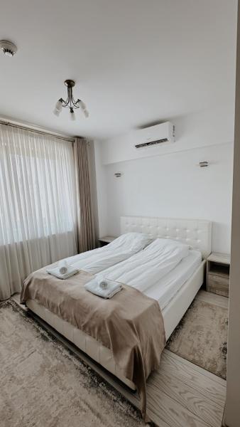 Na zdjęciu widoczny jest obiekt Cazare Vicoveancaa położony w mieście Bilca.