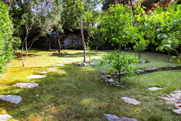 Fotografie 9: Villa 23