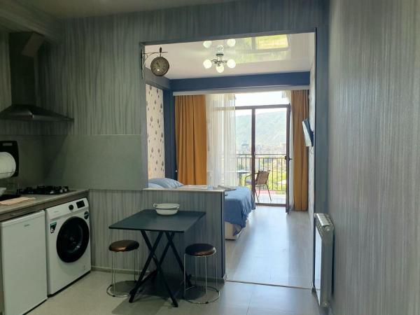 VolgaSaxliApartment, Tbilisi