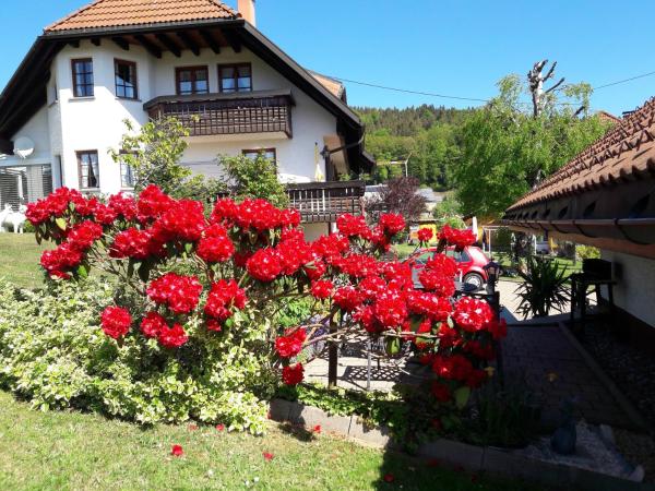Wunderschöne Ferienwohnung Im Haus Schupp Mit Bester Aussicht - Schluchsee