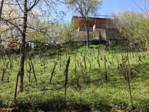 På billedet ses objektet guliko's home beliggende i byen K'vemo Zhoshkha.
