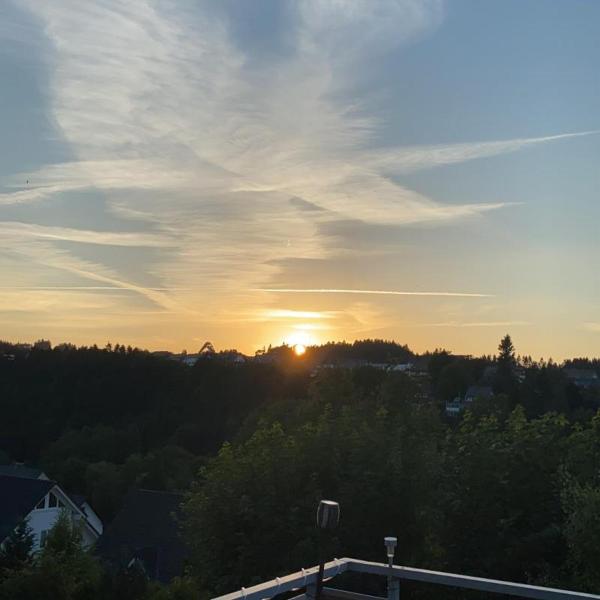Fewo Capreolus - Winterberg