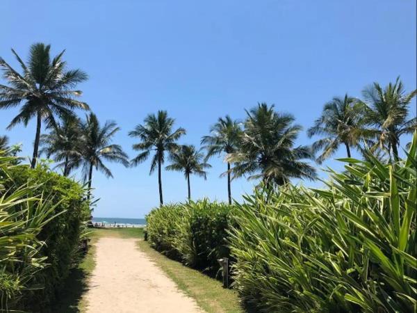 Na zdjęciu widoczny jest obiekt Apto com serviço de praia położony w mieście Bertioga.