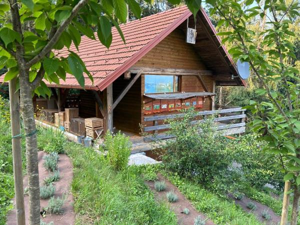 På billedet ses objektet The BeeHouse, Nature stay beliggende i byen Šempeter v Savinjski Dolini.