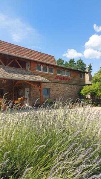 Anna Apartman - Makó