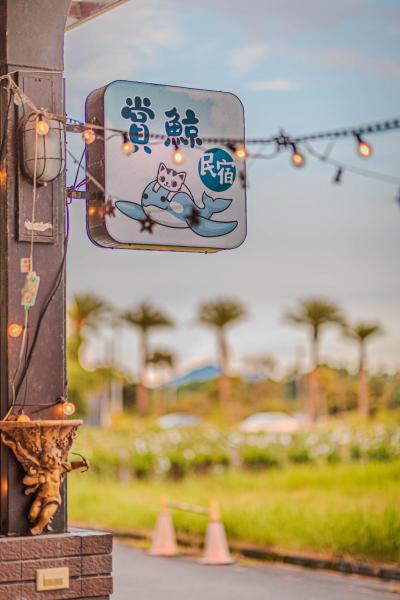 Billede 8: 頭城遊龍戲鳳賞鯨會館2館
