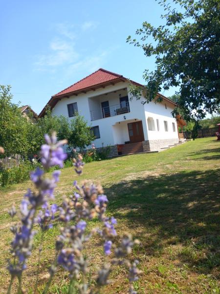 Na zdjęciu widoczny jest obiekt CASA LAVINIA CRASNA GORJ położony w mieście Carpinis.