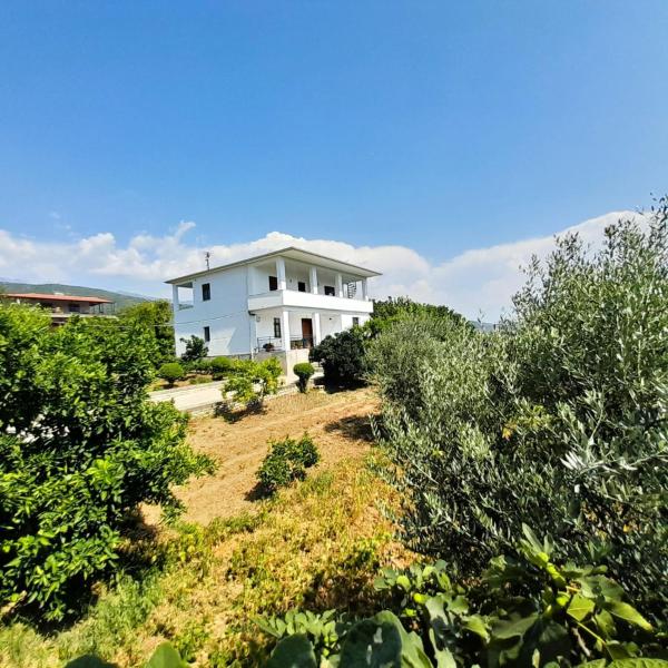 写真にはDardhë市にあるVilla Besartが写っています。