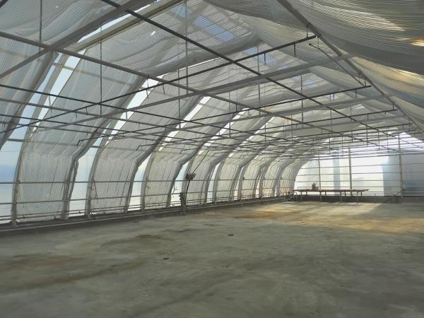 A la foto es mostra l'objecte 300m2 greenhouse situat a la ciutat de Jälist.