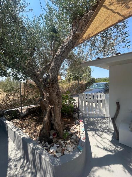 Na zdjęciu widoczny jest obiekt Villa Elia położony w mieście Longá.