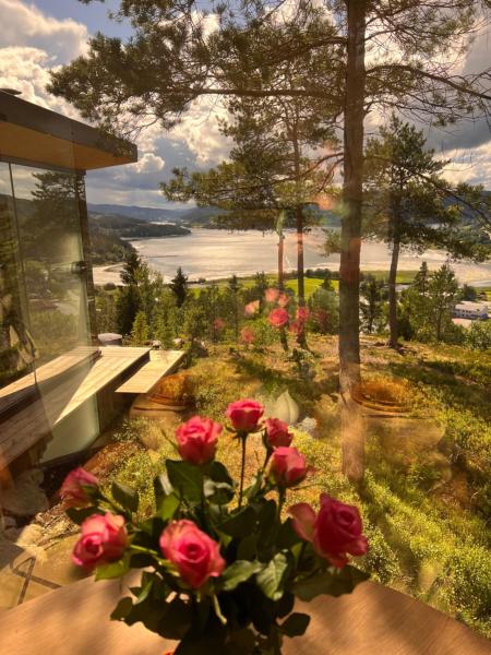 写真にはMalm市にあるSpeilsuite med egen badstue og panoramaが写っています。