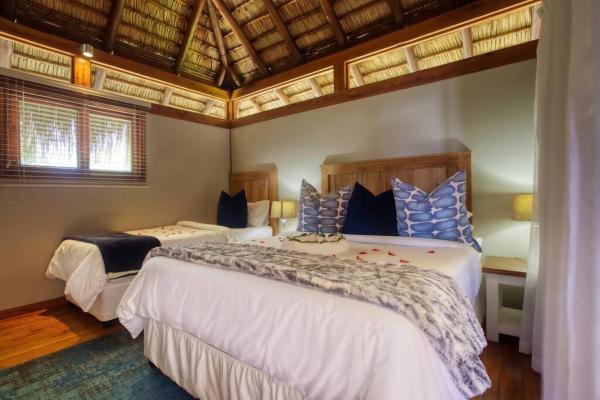 Foto 7: Aloha 1