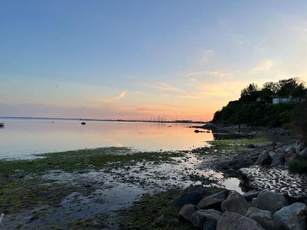 Kuvassa näkyy kohde Charmerende hus i idylliske Lynæs, joka sijaitsee kaupungissa Hundested.