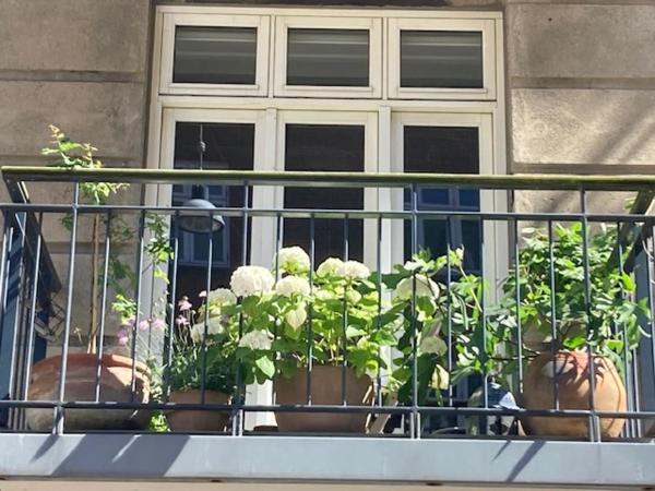 Cosy apartment Christianshavn, Copenhague