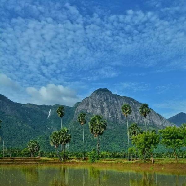 The photo shows the Santhoshinte Farm stay Kollengode located in the city of Nelliyampathy.
