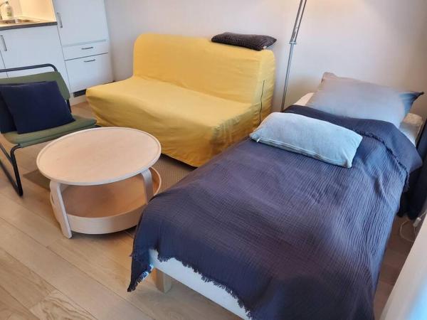 Practical flat connected with gardenの写真1