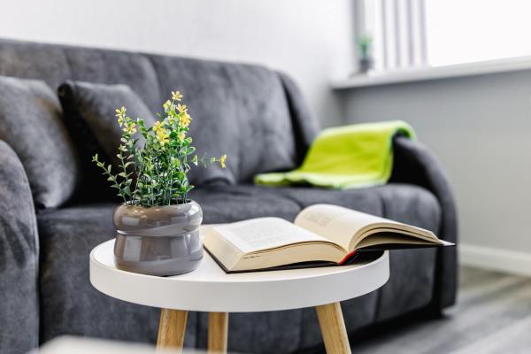 Taikos STUDIO Apartamentai, Kłajpeda