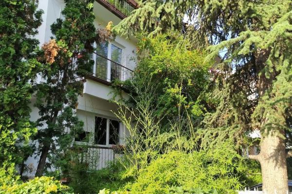 Kami Diplomatic, Skopje