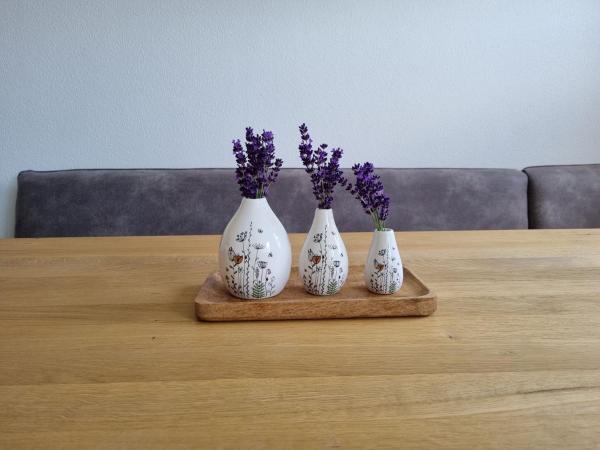 Flat in Wagrain near Ski Slopes photo 7