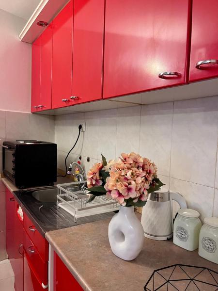 Zdjęcie 3: Apartment Sofija