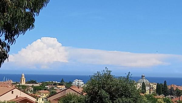 A la foto es mostra l'objecte Eucalypti 9 situat a la ciutat de Loano.