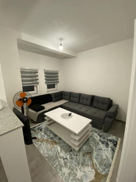 写真にはKovači市にあるSelvira's Apartmentが写っています。