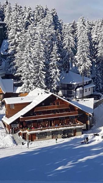 A la foto es mostra l'objecte Pansion Vlašić Ski situat a la ciutat de Šišava.