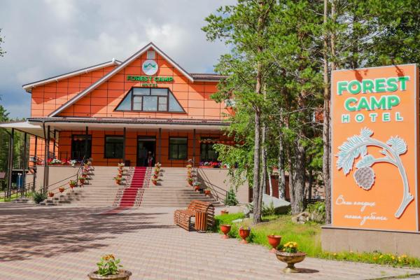 The photo shows the Forest Camp located in the city of Uchitelʼ.