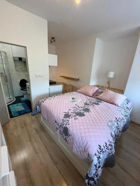 Na fotografii je vidět objekt Apartmán Kostomlaty pod Milešovkou nacházející se ve městě Bořislav.