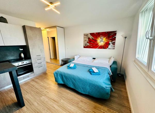 A la foto es mostra l'objecte Studio apartman Rijeka situat a la ciutat de Rijeka.
