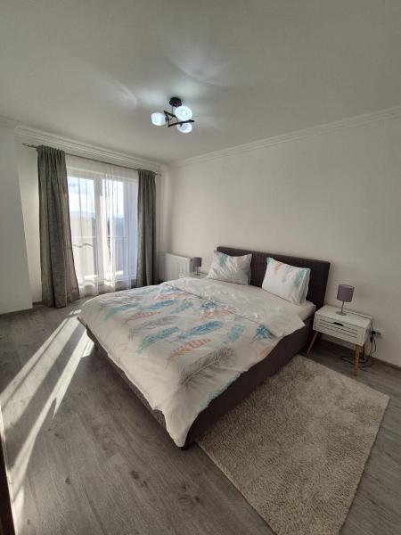 A la foto es mostra l'objecte Irina's Apartment situat a la ciutat de Floreşti.