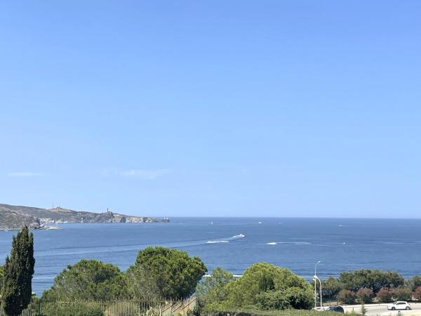 Appartement T3 à Banyuls-sur-mer, Terrasse Et Parking Privé - Fr-1-309-209 - Banyuls-sur-Mer