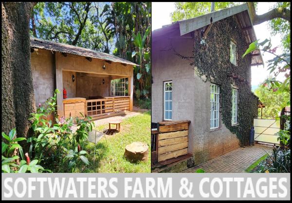 写真にはElim市にあるSoftwaters Guesthouse Cottagesが写っています。